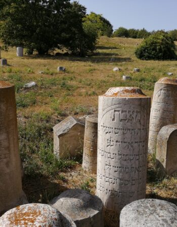 Antico cimitero di monte Cardeto