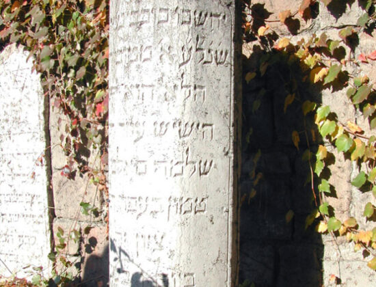 Anne Frank Gardens – former Jewish cemetery of Portone