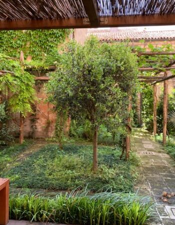 The Secret Garden of the Scola Spagnola